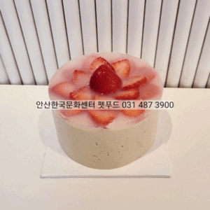 (일반수강신청) 펫푸드